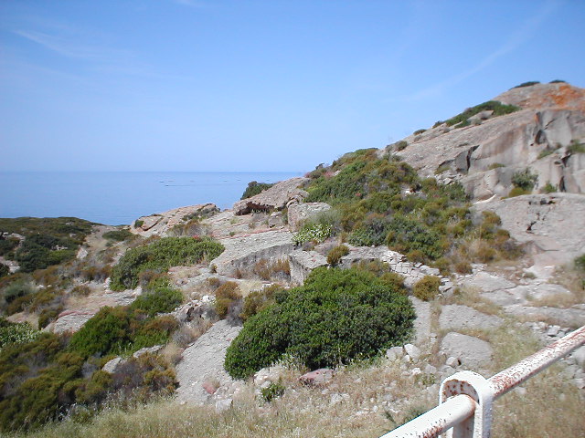 P5310013.JPG