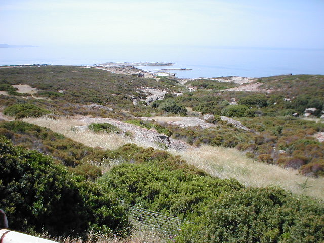 P5310014.JPG
