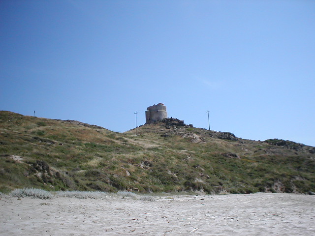 P5310029.JPG