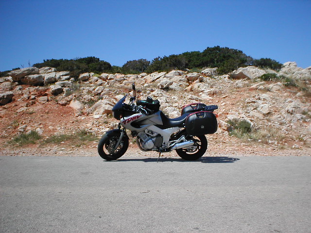 P6010034.JPG