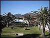 P5300004.JPG